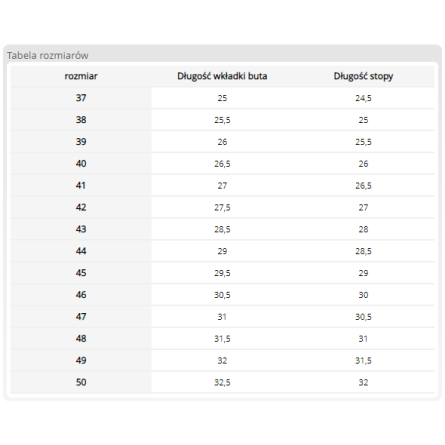 Kalosz bezpieczny TERMINATOR S5