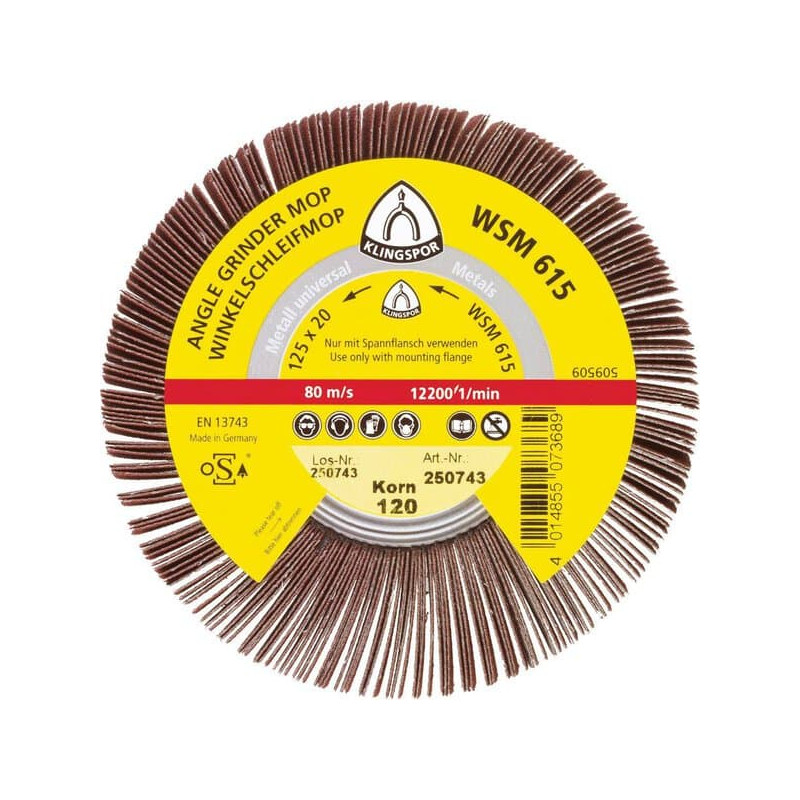 KLINGSPOR Ściernica listkowa nasadzana kątowa 125x 20 mm WSM 615